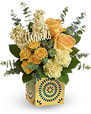 Shimmer of Thanks 