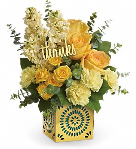 SHIMMER OF THANKS 