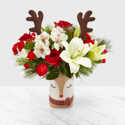  Dear Rudolph 