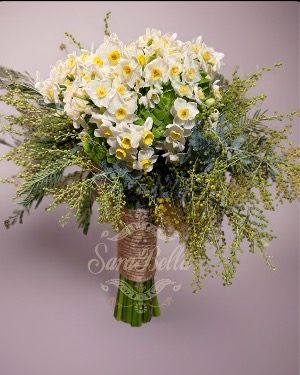 SHIRAZ NARCISSUS 