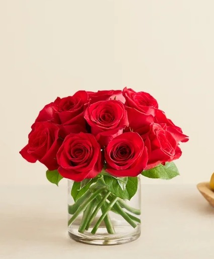 Short Stem Red Roses  Red Roses