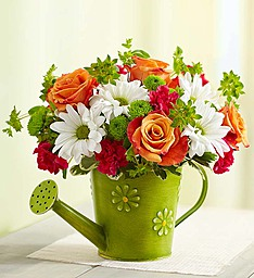 SHOWERS OF FLOWERS  