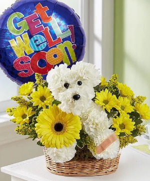 Sick As a Dog 