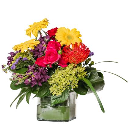 Siesta Sunrise Arrangement