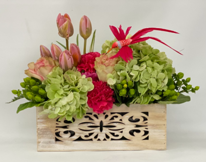 Sights of Spring Box spring mix