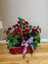 RENTAL silk rose red  basket  rental  rental for theme,dance  party ,or wedding