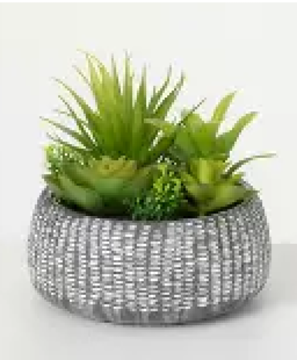 Silk Succulent Plant  