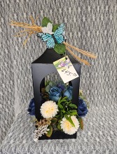 Silks - Peach & Blue Silks w/ Butterfly 