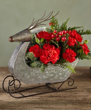 SILVER REINDEER XMAS 2022