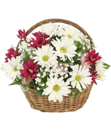 Simple Basket of Love Valentine’s Day in Coleman, WI | COLEMAN FLORAL & GREENHOUSES