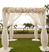 Simple Bliss chuppah 