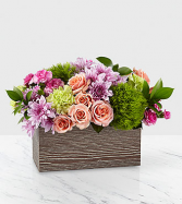 Simple Charm - 127 Arrangement 