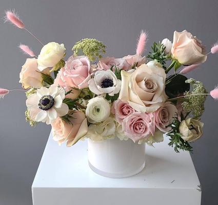 Simple  Pastel  