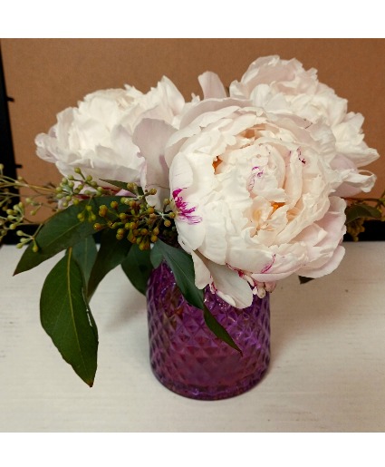 Designers Choice Simply Peonies **Local Delivery 