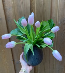 Simple & Rustic elegant pastel tulips in a vase