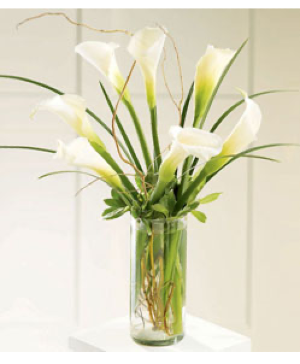 Simple Sophistication Arrangement 