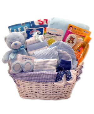 Simply Baby Neccesities Gift Basket in Blue 