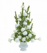 Simply Carnations Sympathy Arrangement
