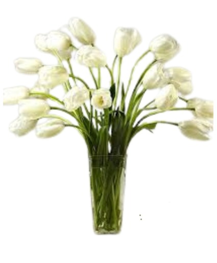 Simply French Tulips tulips