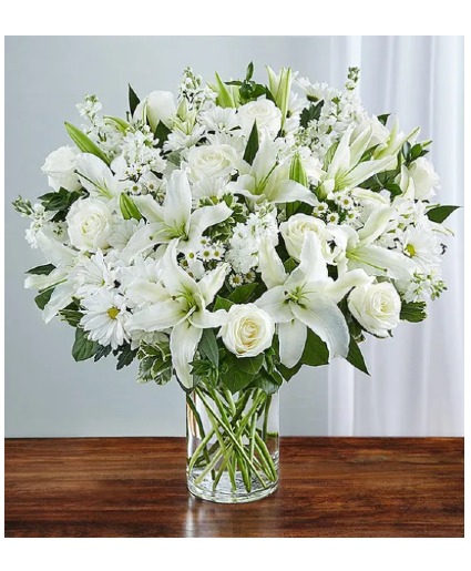 Sincerest Sorrow All White 