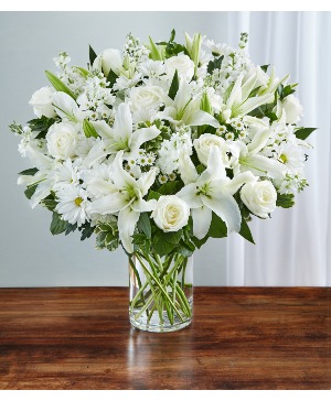 SINCEREST SORROW ALL WHITE 