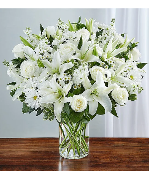 Sincerest Sorrow  All White