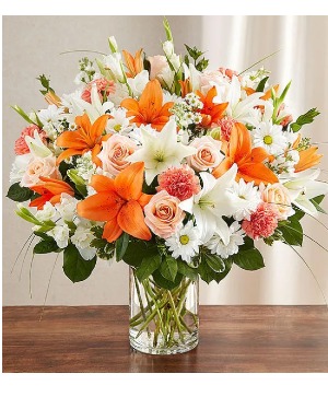 Sincerest Sorrow Peach, Orange & White 