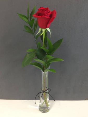 Single Flower in Vase Single flower with greens  PICK UP ONLY