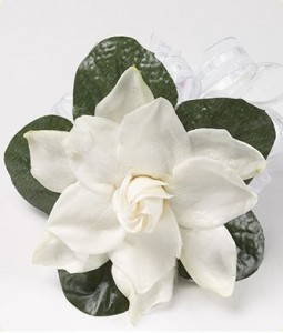 Single Gardenia* Pin On Corsage