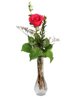 Single Hot Pink Bud Vase Rose Arrangement
