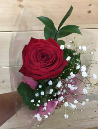 Single Red, wrapped in paper 