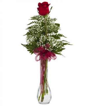 Single Rose Bouquet 