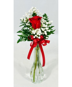 Single Rose with greens & Bow Rose Arrangement