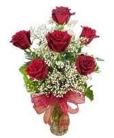 Six Red Roses Vase Fresh Flower Vase