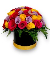 Sixty Shades of Rose 