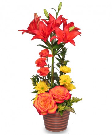 SKY'S THE LIMIT Fresh Flowers in Cary, NC | GCG FLOWER & PLANT DESIGN