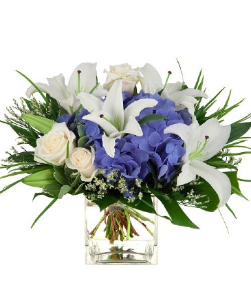 Skyward Arrangement in Winnipeg, MB | CHARLESWOOD FLORISTS