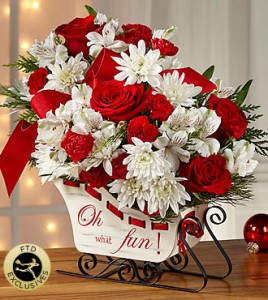 sleigh  2016 Christmas 