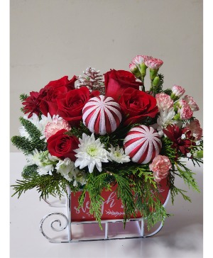 Sleigh  ride 