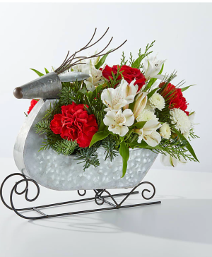 Sleigh Ride Reindeer Fresh Arr