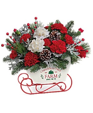 Sleigh Ride Keepsake