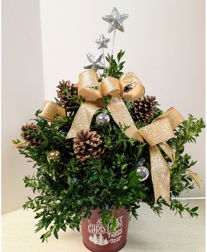 Small Boxwood Tree with lights NFS-C28