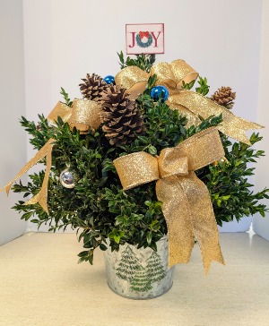 SOLD  Small Lighted boxwood tree  NFS-C31