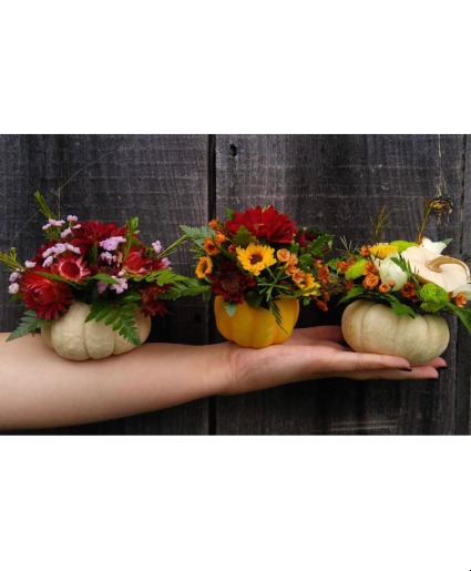 Small Ceramic Pumpkins Centerpiece, Thanksgiving