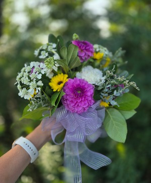 Small Dahlia Arrangement  Designer's Choice