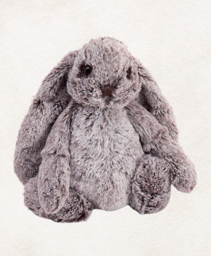 Small Floppy Ear Bunny 