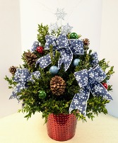 Large Lighted Boxwood Tree  -   NFS-C29