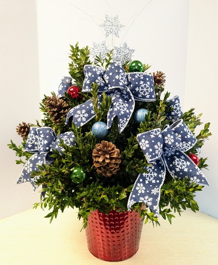 Large Lighted Boxwood Tree  -   NFS-C29