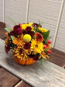 Small Pumpkin Arrangement Pumpkin