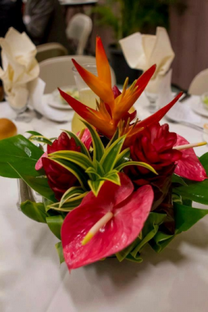 SMALL TROPICAL tropical arrangement